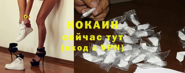 твердый Богородск
