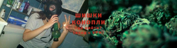 соль ск Богородицк