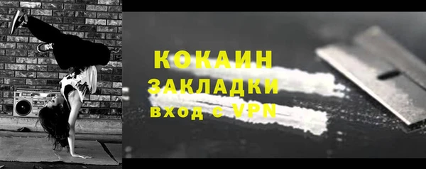 твердый Богородск