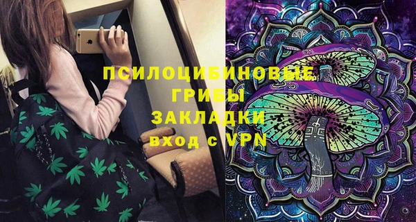 героин Богданович