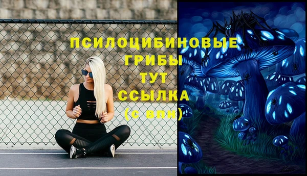 героин Богданович