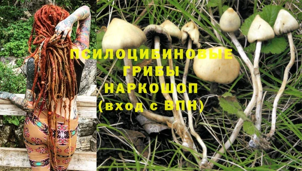 твердый Богородск