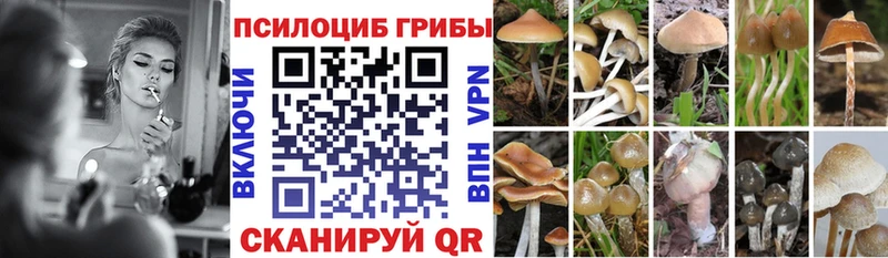 Купить закладки  Няндома  Галлюциногенные грибы GOLDEN TEACHER 